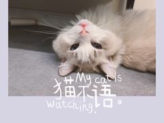 -美联众合动物医院·24h京西诊疗中心