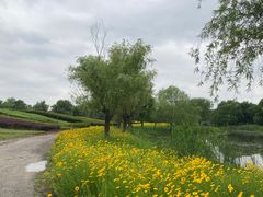 -梁鸿国家湿地公园