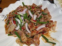 -老号尤兔头(幸福店)