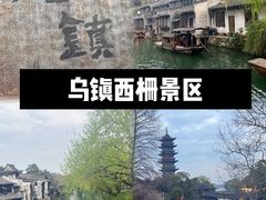 -乌镇西栅景区