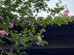 -惠山古镇·寄畅园