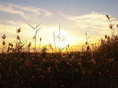 -野鸭湖国家湿地公园