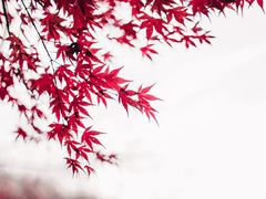 -浮槎山