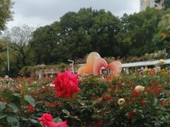 -人民公园(罗湖区)