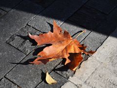 -北山街历史文化街区