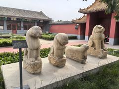 -药王庙(安国市)