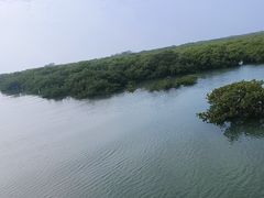 -北海金海湾红树林生态旅游区