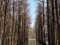 -尚湖风景区