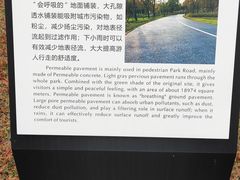 -南汇新城城市公园