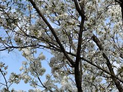 -保利国际影城杭州中南店