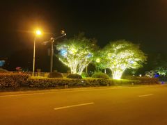 -太湖饭店玉兰厅(自助餐厅)