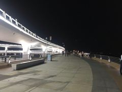 -演武大桥观景平台