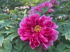 -国家植物园南园