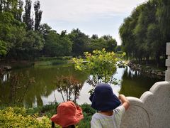 -大兴滨河森林公园