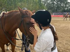 -北京群众马术培训基地