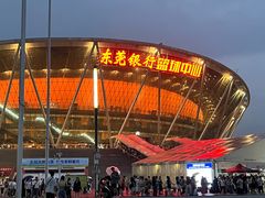 -东莞银行篮球中心