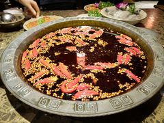 -重庆渝达老火锅(春熙路店)