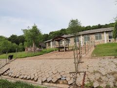 -哈尔滨北方森林动物园