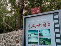-老秃顶草原景区