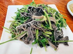 -白记四益轩(枣林前街店)