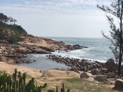-广东惠东海龟国家级自然保护区