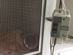 -辛巴宠物医疗中心·骨科·内分泌专科·心肾专科(亭林公园店)
