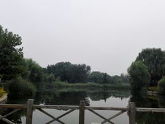 -望湖公园