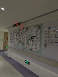 -广州和睦家医院·医学月子