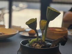 -临江·阅炉