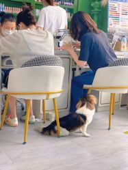 -如一·美甲美睫