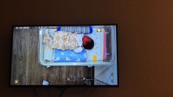 -海豚湾高端月子会所(黄浦店)