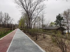 -绿堤公园