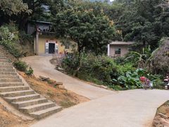 -黄埔油麻山森林公园