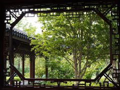 -上海滨江森林公园