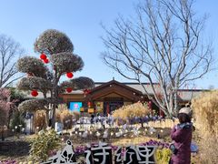 -诗经里