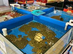 -北京华联生活超市(庄河世纪海云天店)