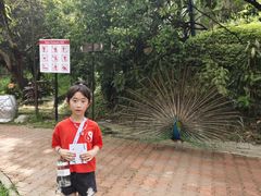 -吉隆坡雀鸟公园