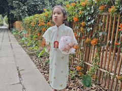 -开平碉楼文化旅游区马降龙景区