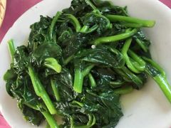 潺菜-水上人家河鲜