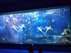 -多彩贵州城极地海洋世界