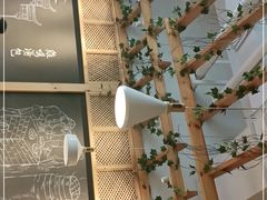 -鸡鸣汤包(复地活力广场店)