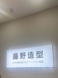 -藤野造型