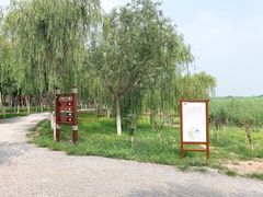 -西青郊野公园