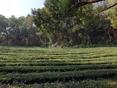 -敬亭山风景名胜区