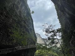 -鹿院坪生态旅游景区