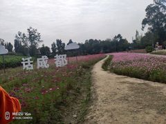 -天府芙蓉园