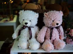 -成都泰迪熊博物馆