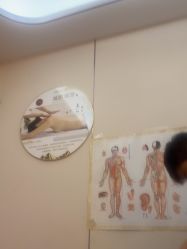 -金美秀瘦身养生