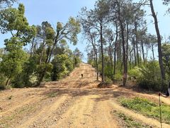 -青龙山国家森林公园