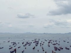 -枸杞岛